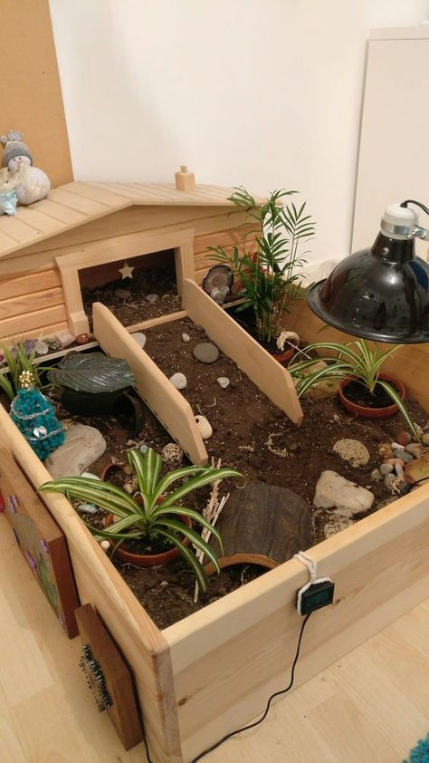 Tortoise Enclosure Indoor, Tartaruga Habitat, Turtle Enclosure, Turtle Care, Tortoise Food, Turtle Homes, Tortoise House, Tortoise Table, Tortoise Enclosure