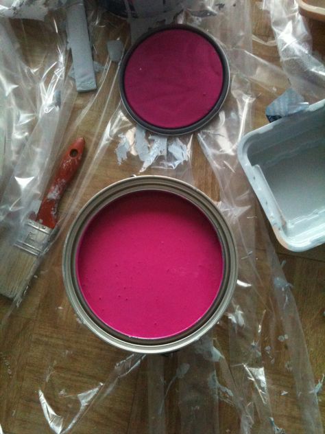 Glidden Very Berry.... The color I want to paint the bathroom!! Fushia Accent Wall, Fuschia Accent Wall, Fuschia Front Door, Raspberry Paint Color, Hot Pink Wall Paint, Colorful Maximalist Decor, Fairy Life, Pink Painted Walls, Colorful Maximalist