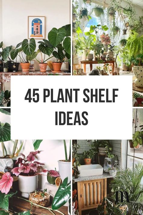 Plant Shelf Ideas: 35+ Creative Ways To Display Plants Plants Floating Shelf, Accent Wall With Plant Shelf, Succulent Shelves Indoor, Plants Sliding Glass Door, Indoor Plant Shelves Window, Ways To Display Indoor Plants, Office Plant Display, Corner Wall Shelf Plants, Indoor Plant Rack Ideas