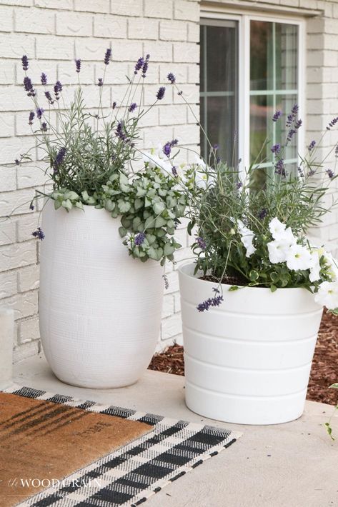 Lavender Potted Plant Front Porches, Flower Pot Inspiration, Front Door Flower Pots, Potted Porch Plants, Front Porch Flowers Pots & Planters, Potted Lavender Outdoor, Best Potted Plants For Porch, Front Porch Pots & Planters, Front Porch Potted Plants