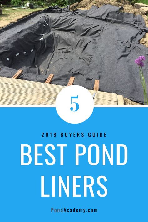 Fish Ponds Backyard, Diy Ponds Backyard, Backyard Fountain, Swimming Ponds, Pond Pool, Pond Construction, Building A Swimming Pool, Pond Maintenance, Natural Swimming Ponds