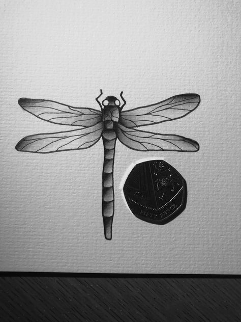 Dragonfly Tattoo Traditional, Traditional Dragonfly Tattoo, Fly Tattoos, December Tattoo, Flying Tattoo, Tattoo Board, Traditional Flash, Sleeve Ideas, Tattoo Portfolio