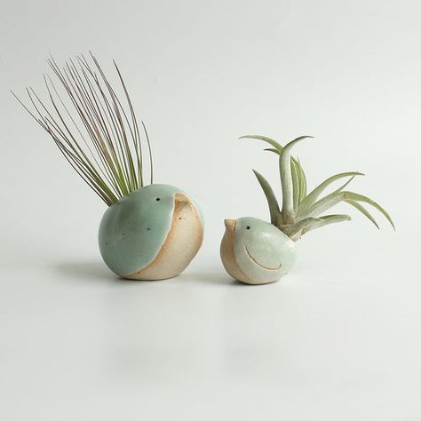 Pottery Air Plant Hanger, Air Dry Clay Garden Ideas, Diy Clay Pots For Plants, Clay Air Plant Holder, Clay Handbuilding Ideas, Ceramics Bird, Nature Ceramics, Plant Planters, Bird Ceramic