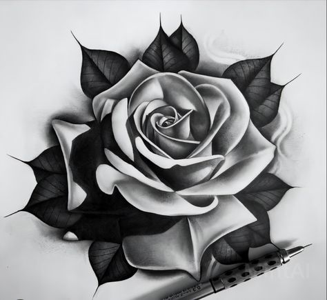 White Rose Tattoo Design, Rose Black And Grey Tattoo, Rose Reference Black And Grey, Tattoo Rose Hand, Black And Grey Rose Tattoo, Traditional Tattoo Drawings, Rose Tattoo Stencil, Realistic Rose Tattoo, Black And Grey Rose