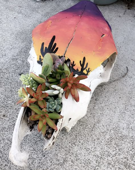 Desert Sunset Cow Skull Painting Cow Skull Without Horns, Cow Skull Centerpiece, Painting Skull Ideas, Diy Bull Skull Decor, Painting On Cow Skulls, Painting On Deer Skull, Painted Cow Skull Ideas No Horns, Painting Cow Skulls, Cow Skull Decor Diy