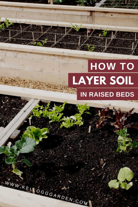 Layering Soil for an Inexpensive Raised Garden Bed | Kellogg Garden Organics™ Garden Bed Soil Layers, Raised Bed Soil Layers, Raised Garden Bed Layers, Raised Garden Bed Soil Layers, Layering Raised Garden Beds, How To Layer A Raised Garden Bed, Inexpensive Raised Garden Beds, Raised Garden Bed Soil, Cheap Raised Garden Beds