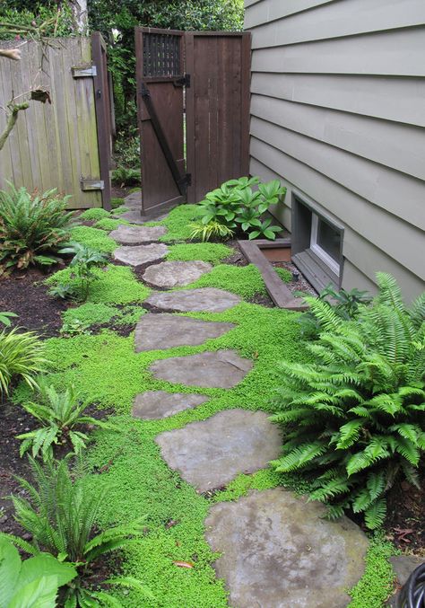 Ferns and baby tears Rectangle Garden Design, Shade Garden Design, Side Yard Landscaping, Vertical Garden Design, Side Yards, Vertical Gardens, Garden Design Ideas, Side Garden, Have Inspiration