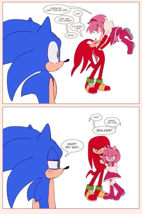 Shadamy Comics, Crash Bandicoot Characters, Rose Pic, Sonic & Knuckles, Shadow And Amy, Amy The Hedgehog, Sonic Heroes, Sonic And Amy, Sonic Funny