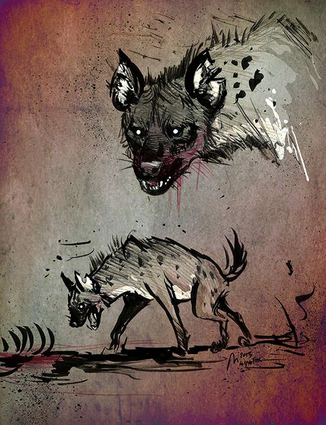 Lion King Tattoo, Animal Illustration Art, Wow Art, Wild Dogs, Animal Sketches, Hyena, Pics Art, Creature Design, A Drawing