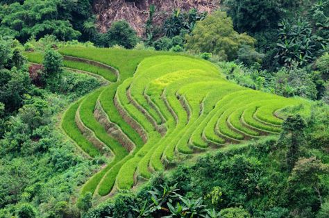 Crops could feed billions of people! Land Resources, Human Population, Crop Production, Teaching Biology, Basic Needs, Food System, Water Resources, University Of Minnesota, Environmental Issues