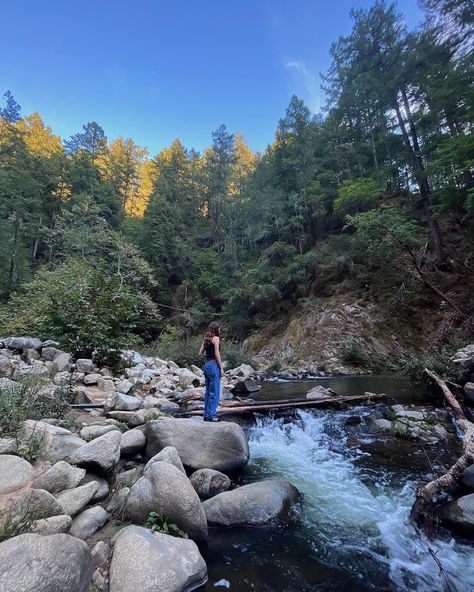 Pacific Northwest Hikes, Pacific Northwest Camping, Montana Core, Pacific Northwest Aesthetic, Pacific Northwest Summer, Northwest Pacific, Forest Washington, Forest Hike, Washington Hikes