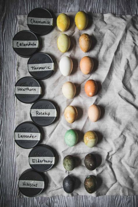 Naturally Dyed Eggs with Herbal Tea Dyeing Eggs, Natural Egg Dye, Dye Eggs, Holiday Crafts Easter, Dyed Eggs, Dye Easter Eggs, Naturally Dyed Easter Eggs, Easter Party Food, Dried Hibiscus Flowers