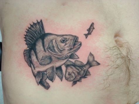 Perch Perch Tattoos, Perch Tattoo, Salmon Fishing Tattoo, Bass Fish Tattoo For Men, Rainbow Trout Tattoo Black And White, Black And White Trout Tattoo, Men’s Fishing Tattoos, Bear Tattoos, Fishing Stuff