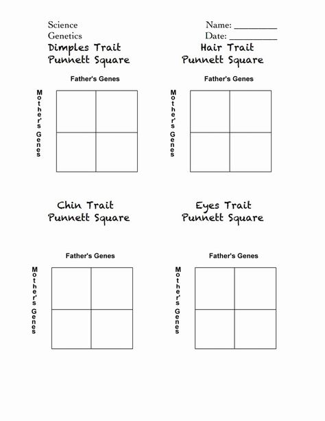 50 Genetics Worksheet Middle School | Chessmuseum Template Library Genetics Worksheet, Punnett Square, Life Science Middle School, Punnett Squares, Science Homework, Middle School Life, Biology Worksheet, Biology Classroom, Biology Lessons