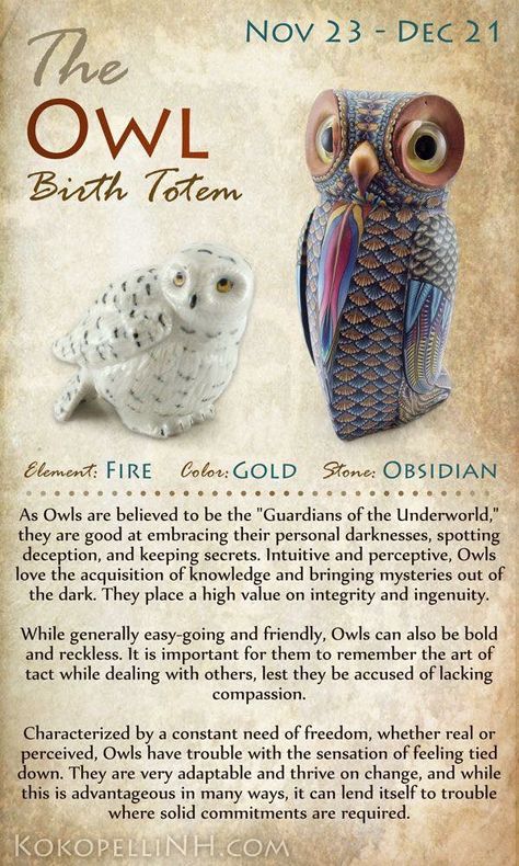 Owl Birth Totem Nov 23 - Dec 21 Animal Guides Birth Totem, Arte Haida, Native American Zodiac, Spirit Animal Totem, Native American Wisdom, Animal Spirit Guides, Animal Guides, Samana, Mia 3