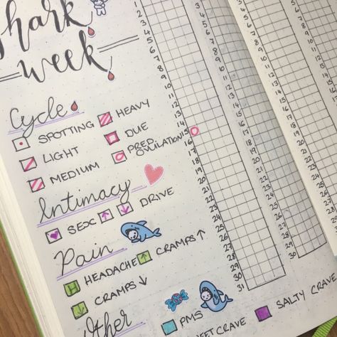 Bullet Journal Period Tracker, Menstrual Tracker, Period Tracking, Menstrual Cycle Tracker, Track Period, Cycle Tracker, Symptom Tracker, Medication Tracker, Journal Layouts