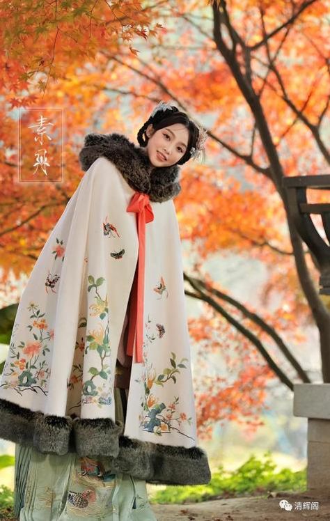 Winter Hanfu, Modern Asian, Old Fashion Dresses, Chinese Hanfu, Design Clothes, Traditional Clothes, Traditional Fashion, Blue Roses, Fashion Design Clothes