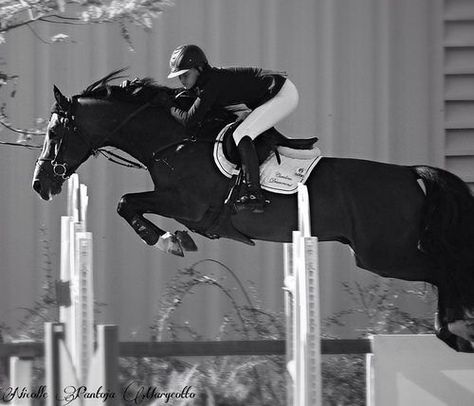 jump Horsey Life, Show Jumping Horses, Equestrian Aesthetic, Equestrian Chic, Equestrian Girls, Horse Aesthetic, Black Horses, English Riding, Equestrian Lifestyle