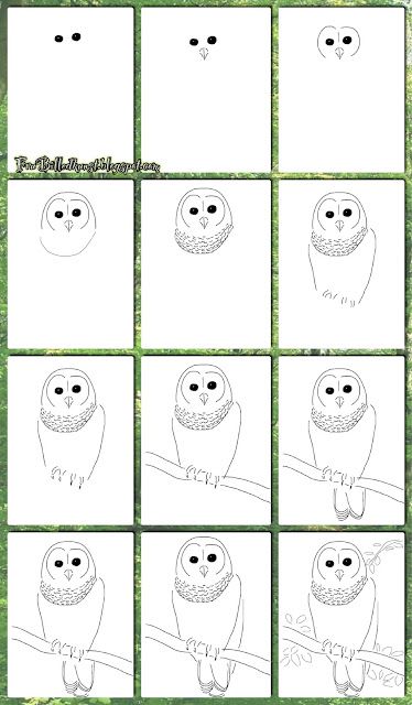 Owl tutorial - for my little artists How To Draw An Owl In A Tree, 2nd Grade Art, 6th Grade Art, Art Worksheets, Owls Drawing, Homeschool Art, Racoon, Owl Art, Bird Drawings