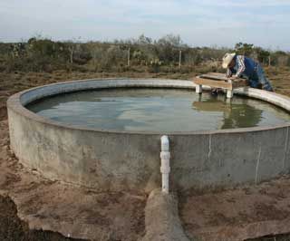 ... Cattle Water Trough, Cattle Trough, Pool Inspiration, Ranch Ideas, Silo House, Farm Shed, House Pool, Desert House, Water Trough