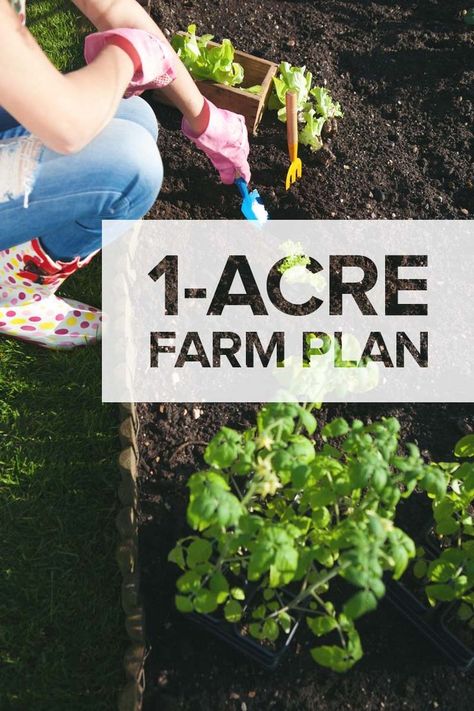 Yes, homesteading with one acre of land is possible. Here's a plan for you. Learn which animals to raise, which plant to grow, and structures to build. Plants And Gardening, Acre Homestead, Farm Plans, Homestead Farm, Farm Layout, Homesteading Skills, Urban Homesteading, Aquaponics System, Living Off The Land