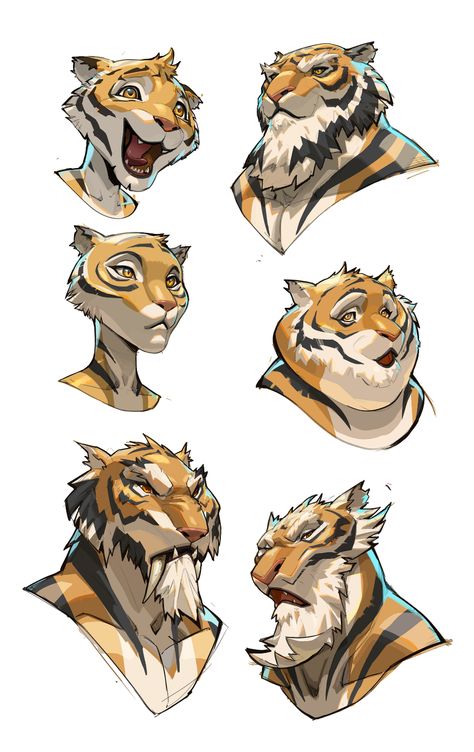 ArtStation - Sketchs Tiger Character Design, Anthro Tiger, Animal Character Design, Tiger Drawing, Creature Drawings, Tiger Art, Cat Character, Animal Sketches, Illustration Character Design