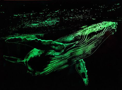 Fluorescent Painting, Dark Art Paintings, Fluorescent Paint, Glow Paint, Ceiling Ideas, Deep Ocean, Ocean Painting, Humpback Whale, Creature Art