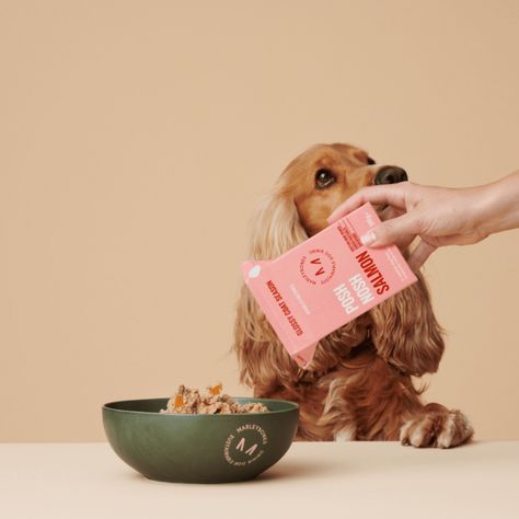 Dog Food Photoshoot, Dog Food Photography, Dog Food Branding, Pet Branding, Dog Brand, Food For Dogs, Grain Free Diet, Wow Photo, Grain Free Dog Food