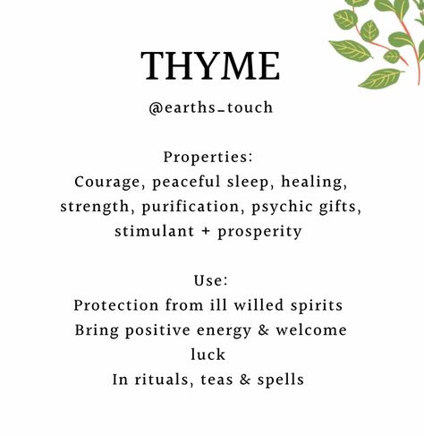 Witch Ingredient Meanings, Properties Of Herbs Witchcraft, Thyme Witch Uses, Thyme In Witchcraft, Thyme Meaning Witchcraft, Thyme Witch Craft, Thyme Properties Magic, Thyme Magical Properties, Pinecone Witchcraft