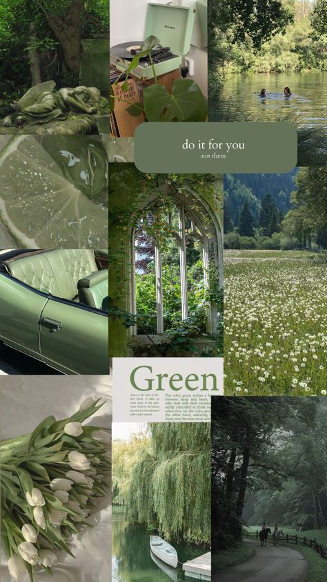 Asthetic Picture Wallpaper Green, Pretty Green Aesthetic, Green Aesthetic Tumblr, Green Collage, Mint Green Aesthetic, Sage Green Wallpaper, Pink Wallpaper Girly, Beautiful Scenery Pictures, Cute Backgrounds For Phones