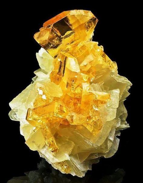 Golden Barite on calcite Baryt BaSO4 7.AD.35 Baryt - Gruppe . Baryt-Celestine-Serie . Das Barium-Analogon von Celestine und Anglesite . 7: SULFATE (Selenate, Tellurate, Chromate, Molybdate, Wolframate) A: Sulfate (Selenate etc.) ohne zusätzliche Anionen ohne H 2 O D: Mit nur großen Kationen Yellow Crystals, Rock Minerals, Puppy Chow, Lampe Decoration, Pretty Rocks, Beautiful Rocks, Calcite Crystal, Mineral Stone, Rocks And Gems