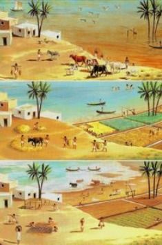 Ancient Egypt Farming, Ancient Egyptian Architecture, Ancient Indian History, Starověký Egypt, Egypt Concept Art, Historic Pictures, Tropical Africa, History Magazine, Ancient Egypt Art