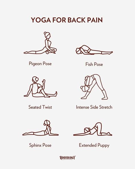 Yoga Poses For Back Pain, Yoga Poses For Back, Morning Yoga Routine, Motivasi Diet, Latihan Yoga, Yoga For Back Pain, Relaxing Yoga, Easy Yoga Workouts, Body Workout Plan