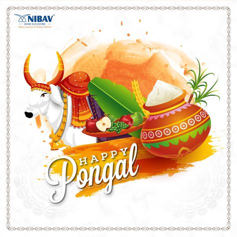 HAPPY MATTU PONGAL #pongalwishes #mattupongal #pongalcelebration #nibavhomeelevator #homelifts Happy Mattu Pongal, Mattu Pongal, Happy Pongal, House Elevation, Daily Inspiration Quotes, Inspiration Quotes, Daily Inspiration, Easy Drawings, Cute Wallpapers