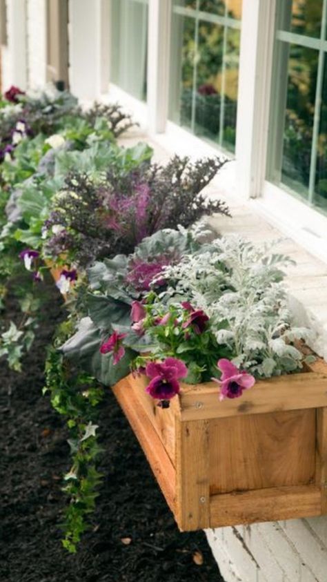 Wood Window Boxes, Wood Flower Box, Fall Window Boxes, Window Box Flowers, Window Planter Boxes, Window Boxes, Wooden Garden, Joanna Gaines, Window Box