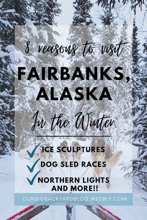 8 Reasons to Visit Fairbanks in February - OurBigBackyard Alaska In February, Fairbanks Alaska Winter, Usa Vacations, Carribean Travel, Alaska Road Trip, Alaska Winter, Yukon Canada, Dog Sled, Winter Travel Destinations