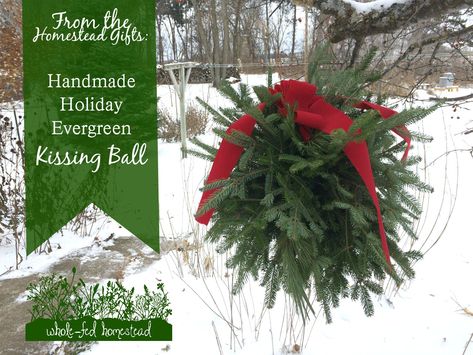 Basil Frittata, Homestead Gifts, Christmas Greenery Decor, People To Draw, Christmas Gift Exchange Games, Gravesite Decorations, Evergreen Christmas, Kissing Balls, Affordable Christmas Gifts