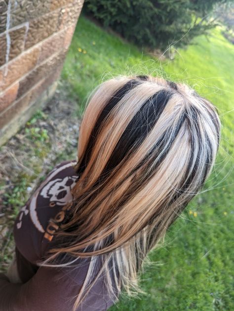 Black Stripes In Blonde Hair, Blonde Hair With Black Streaks Y2k, Blonde Hair With Chunky Black Highlights, Skunk Streak Hair Blonde Highlights, Black N Blonde Highlights, Skunk Stripe Hair Y2k, Skunk Hair More Blonde, Black Hair Skunk Highlights, Skunk Hair Chunky