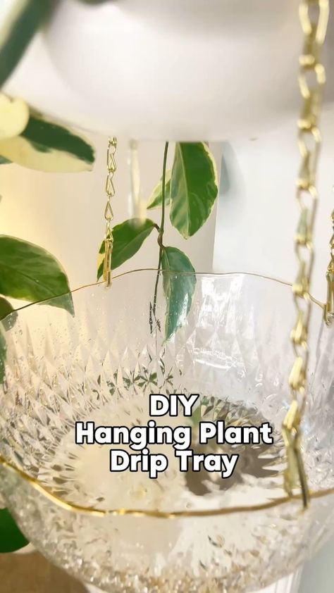 Watch DIY Hanging Plant Drip Tray on Amazon Live Diy Hanging Shelves, Watch Diy, Hanging Plant, Diy Hanging, Drip Tray, Diy Plants, Hanging Shelves, Hanging Plants, Tray