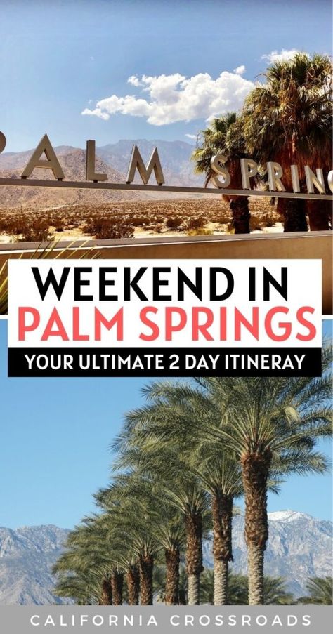 Weekend in Palm Springs: Itinerary for 2 Days of Fun & Adventure Palm Desert California, Palm Spring, Palm Springs California, Spring Trip, Palm Desert, Usa Travel Destinations, United States Travel, California Travel, Joshua Tree