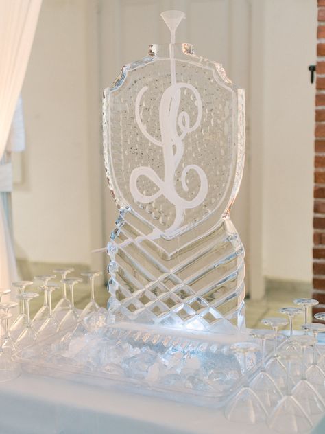 Ice Luge Ice Luge Wedding, Ice Luge, Ice Sculpture, Luge, Ice Sculptures, Wedding Drink, Wedding Vibes, Jordan, Wedding Photography