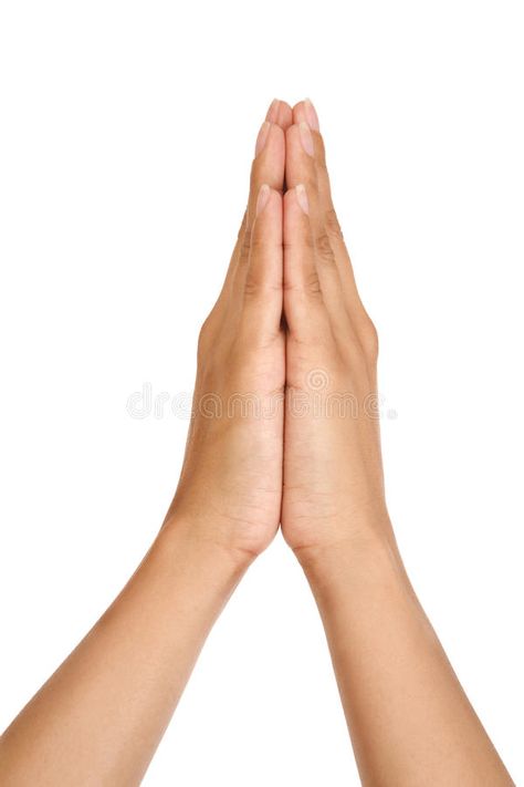 Woman praying hands. Isolated on white background #Sponsored , #AD, #PAID, #praying, #background, #white, #Woman Praying Background, Hands Praying, Woman Background, Goddess Tara, Praying Woman, Woman Praying, Stock Photos Woman, Hand Reference, White Woman