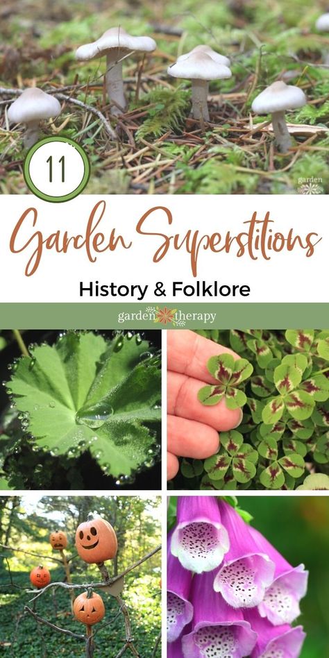 Do you share gossip with your bees and avoid stepping in fairy rings? There are many garden-related superstitious practices that go back to ancient times. Whether or not you believe in these garden superstitions, at least they are interesting and fun to read about—and hey, talking to bees can’t hurt, right? #gardentherapy #folklore #herbs #gardening Wiccan Garden Ideas, Witches Garden Aesthetic, Fairy Ring Garden, Pagan Garden Ideas, Witches Garden Plants, Witches Herb Garden, Witches Garden Ideas, Spiritual Garden Design, Witchy Garden Decor