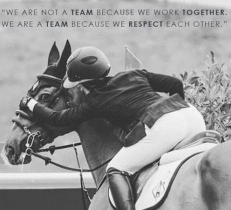 Equestrian Motivation, Equestrian Memes, Rider Quotes, Equine Quotes, Horse Sayings, Horse Quotes Funny, Horsey Life, Inspirational Horse Quotes, Horse Riding Quotes