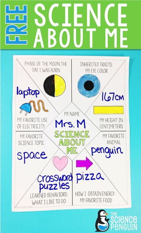 Science About Me, Sixth Grade Science, First Week Activities, Science Penguin, Science Board, Fourth Grade Science, Middle School Science Classroom, Science Room, Science Classroom Decorations