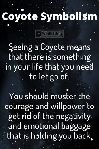 Coyote Meaning, Coyote Symbolism, Fox Symbolism, Coyote Animal, Animal Symbols, Spirit Animal Meaning, Clever Animals, Animal Meanings, Spiritual Animal