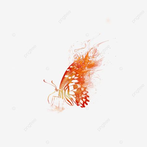 Butterfly Burning Tattoo, Fire Butterfly Drawing, Red Light Effect Png, Flaming Butterfly Tattoo, Fire Tattoo Stencil, Butterfly Flame Tattoo, Fire Flower Tattoo, Fire Butterfly Tattoo, Butterfly On Fire Tattoo