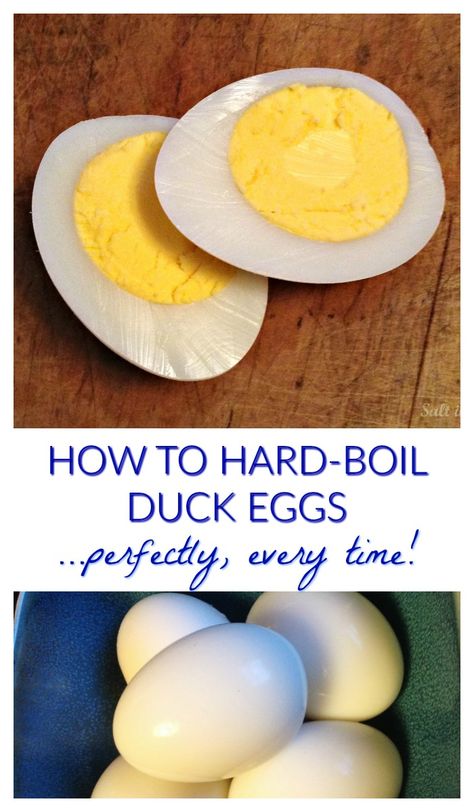 Hard Boiled Duck Eggs, Recipes Using Duck Eggs, How To Hard Boil Farm Fresh Eggs, Boil Eggs Time, How To Cook Hard Boiled Eggs Easy Peel, How Long Does It Take To Boil Eggs, Keeping Ducks, How Long To Boil Eggs Hardboiled, Pekin Duck