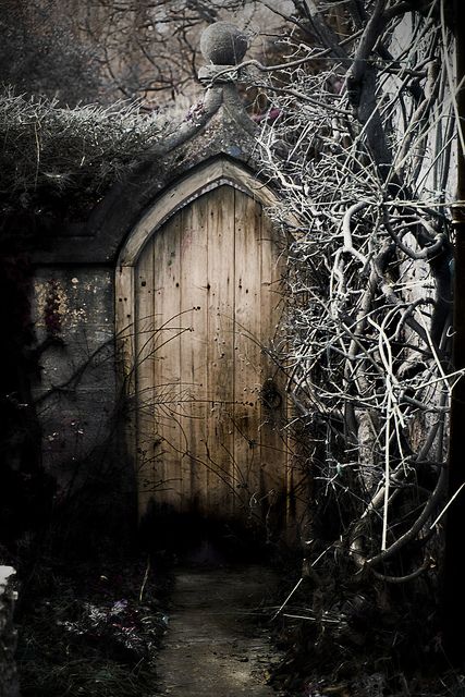 side door to a castle . My guess is that an unwanted servant lives here. One that worked hard in their life time and is no longer needed or wanted. Creepy Door, October Country, Trap Door, Castle Combe, Story Setting, Old Door, Scenic Design, Gothic Architecture, Side Door