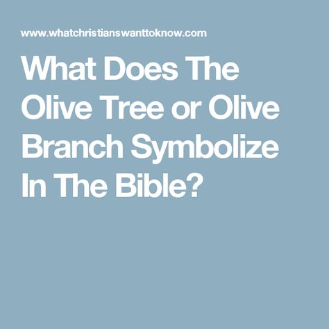 What Does The Olive Tree or Olive Branch Symbolize In The Bible? Olive Branch Meaning Bible, Olive Branch Symbolism, Branch Tattoo Wrist, Small Olive Branch Tattoo, Olive Branch Tattoo Meaning, Olive Branch Meaning, Tattoo Olive Branch, Branch Tattoo Arm, Olive Branch Art